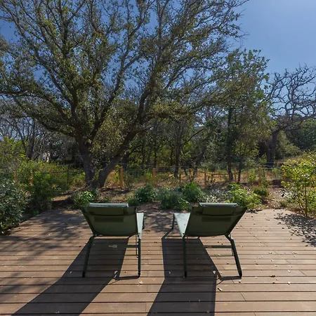 Domaine A Vigna Apartment *